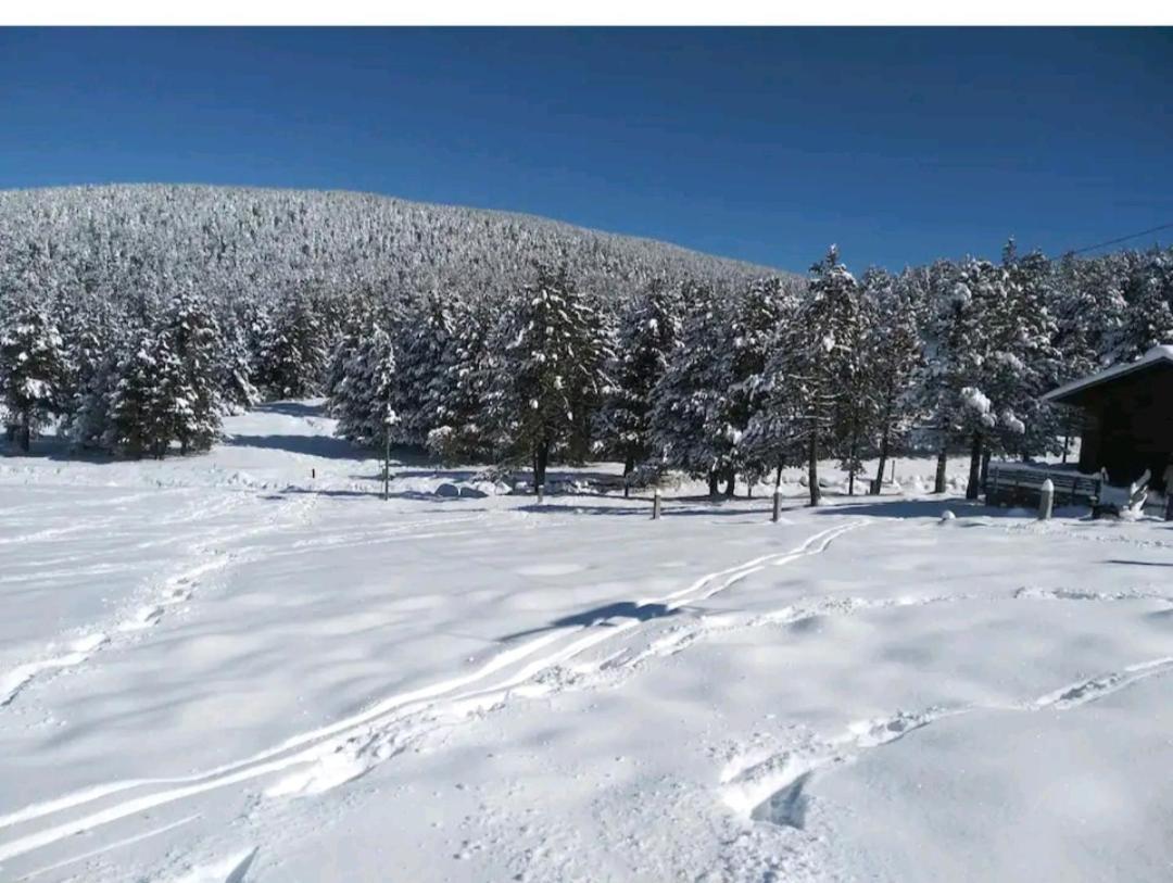 Apartamento En El Pirineo Catalan Sant Jordi de Cercs Exteriér fotografie